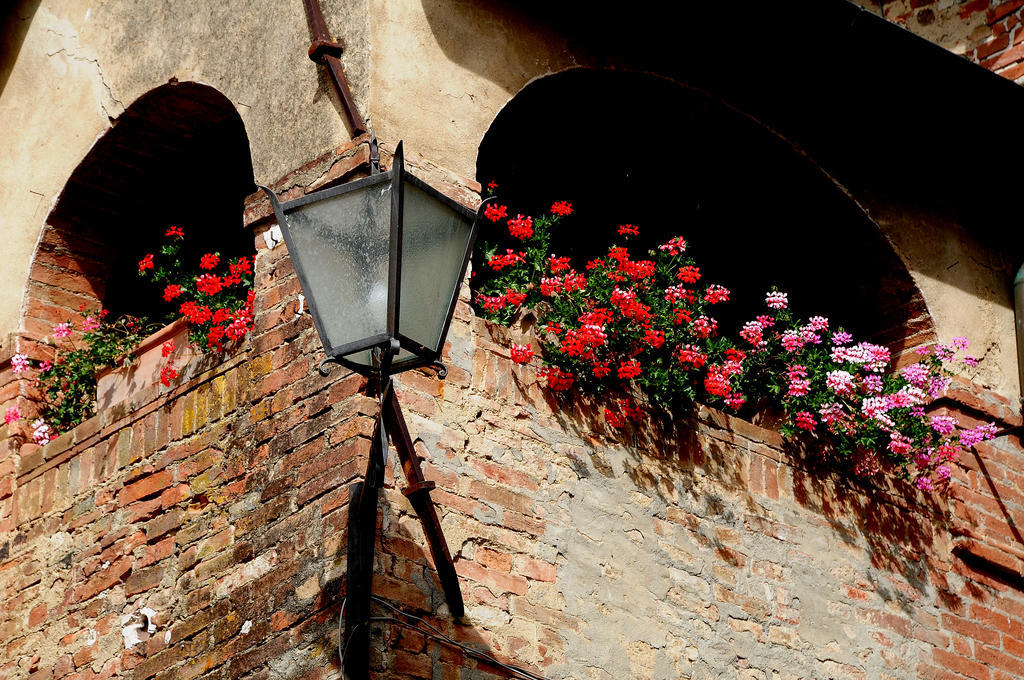 Agriturismo Castello Saltemnano Βίλα Buonconvento Εξωτερικό φωτογραφία