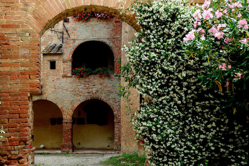 Agriturismo Castello Saltemnano Βίλα Buonconvento Εξωτερικό φωτογραφία