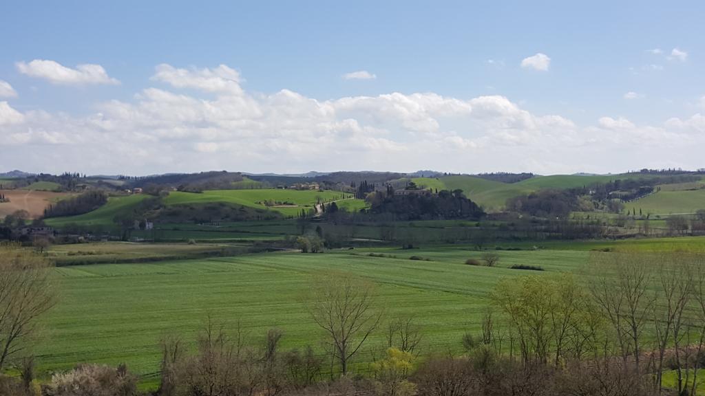 Agriturismo Castello Saltemnano Βίλα Buonconvento Εξωτερικό φωτογραφία