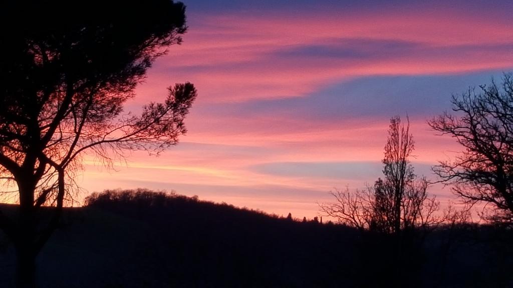 Agriturismo Castello Saltemnano Βίλα Buonconvento Εξωτερικό φωτογραφία