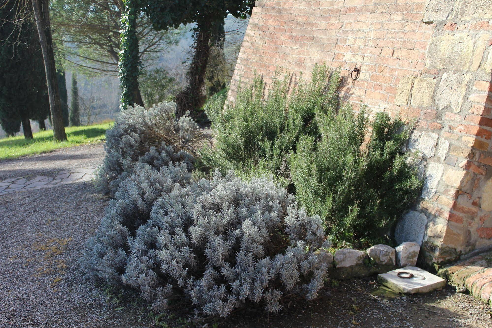 Agriturismo Castello Saltemnano Βίλα Buonconvento Εξωτερικό φωτογραφία